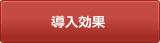 導入効果