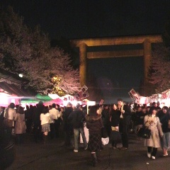 2009/04 靖国神社 鳥居