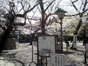 10/03/30 靖国神社境内の桜その1