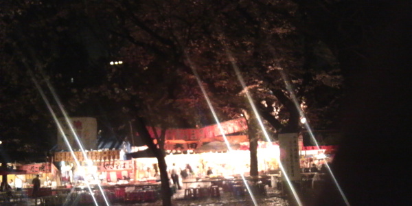 10/04/07 靖国神社参道脇花見