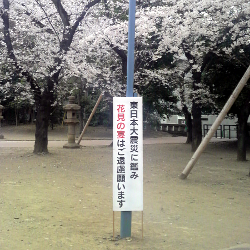 11/04/08 靖国神社の看板