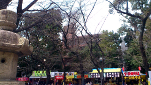 2012/03/30 靖国神社外苑の桜