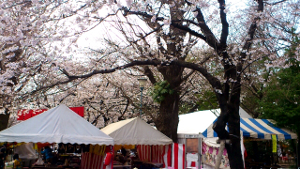2012/04/06 靖国神社外苑の桜