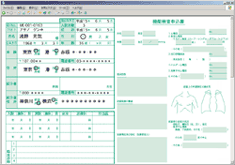 電子カルテの例